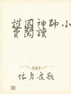 护国神帅小说免费阅读