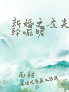 新婚之夜夫妻该干嘛呢