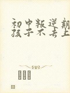 初中叛逆期的男孩子不去上学怎么去引导