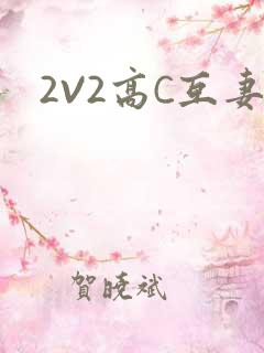 2V2高C互妻
