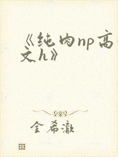 《纯肉np高辣文h》