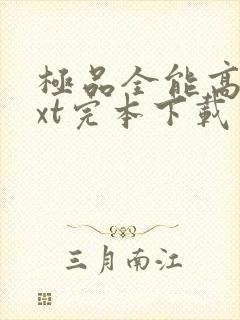 极品全能高手txt完本下载