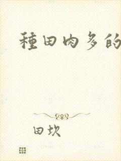 种田肉多的古言