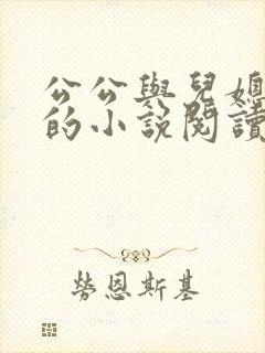 公公与儿媳苏玥的小说阅读
