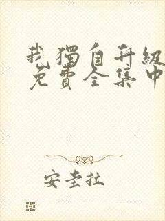 我独自升级动漫免费全集中文版