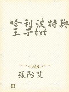 哈利波特与混血王子txt