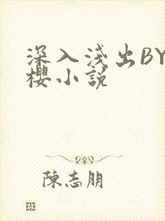 深入浅出BY胖樱小说
