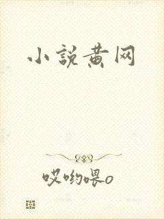 小说黄网