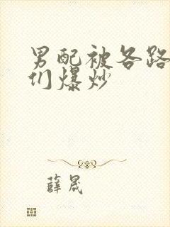 男配被各路大佬们爆炒