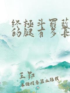 终极斗罗蓝梦琴的腿有多长