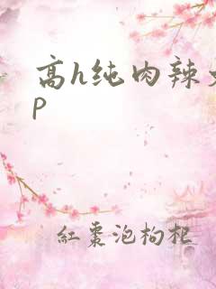 高h纯肉辣文np