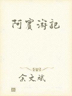 阿宾游记
