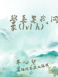 学长是我网恋对象(1v1 h)