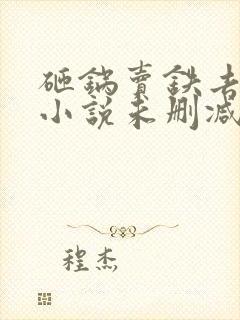 砸锅卖铁去上学小说未删减版