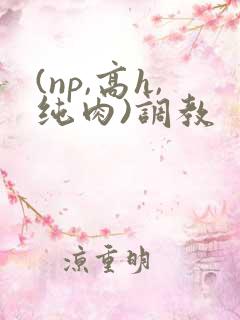 (np,高h,纯肉)调教