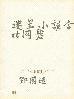 迷羊小说合集txt网盘