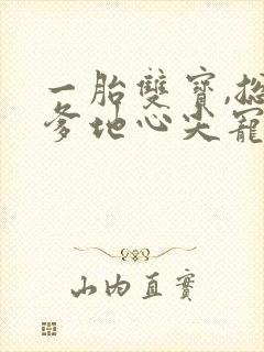 一胎双宝,总裁爹地心尖宠