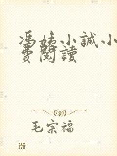 冯姨小诚小说免费阅读