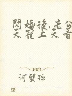 闪婚后,老公每天宠上天看