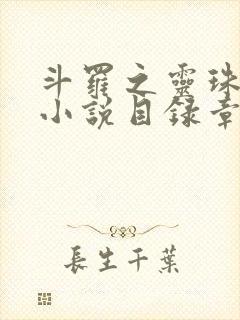 斗罗之灵珠神剑小说目录章节