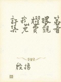 许我耀眼第24集免费观看