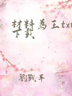 材料为王txt下载