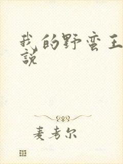 我的野蛮王妃小说