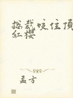 总裁咬住顶端的红樱