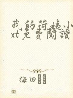 我的荷姨小说txt免费阅读