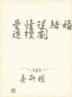 爱情从结婚开始连续剧