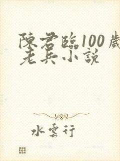陈君临100岁老兵小说