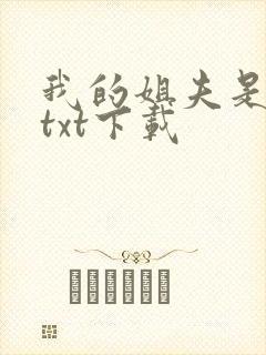 我的姐夫是太子txt下载