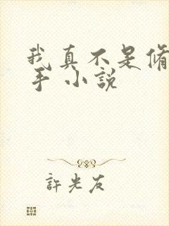 我真不是修仙高手 小说