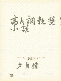 高h调教双男主小说