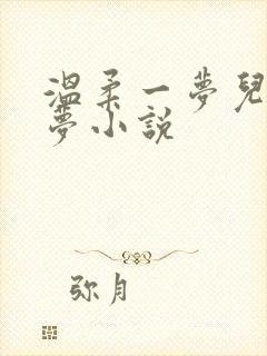 温柔一梦儿媳林梦小说
