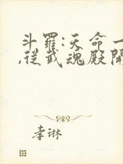 斗罗:天命一族,从武魂殿开始