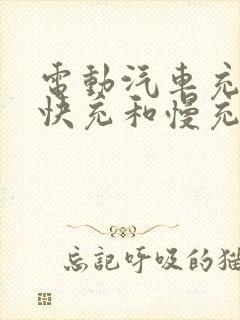 电动汽车充电桩快充和慢充