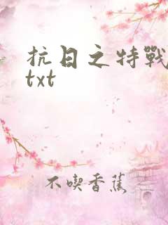 抗日之特战兵王txt