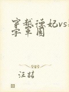 穿越德妃vs数字军团