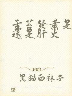 舌苔发黄是胃火还是肝火