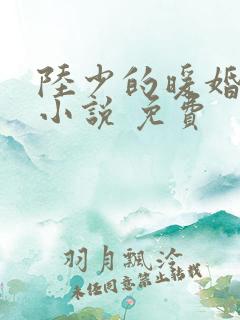 陆少的暖婚新妻小说 免费