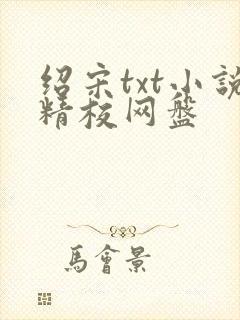 绍宋txt小说精校网盘