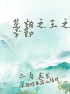 万相之王之最新章节