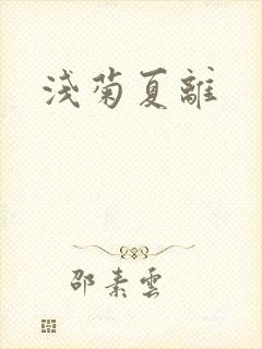 浅菊夏离
