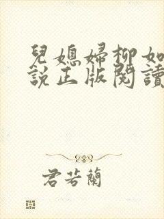 儿媳妇柳如烟小说正版阅读