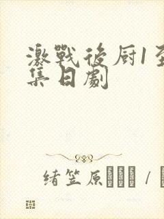 激战后厨1至5集日剧