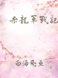 赤龙军战记
