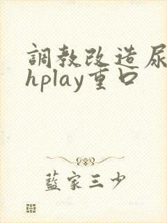调教改造尿孔高hplay重口