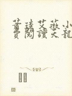 萧琰艾薇小说免费阅读天龙殿