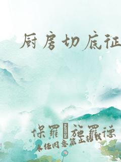 厨房切底征服岳